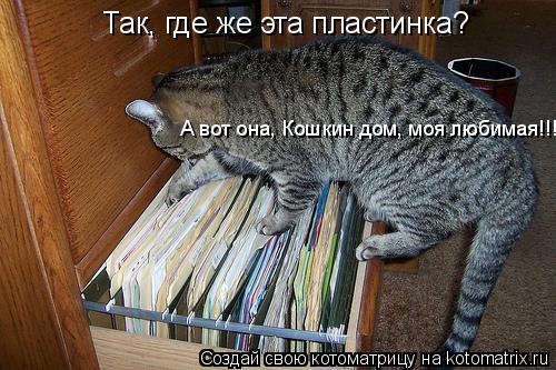 Котоматрица: Так, где же эта пластинка? А вот она, Кошкин дом, моя любимая!!!