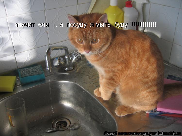 Котоматрица: значит  ели  ... а  посуду  я мыть  буду  !!!!!!!!!!!!!