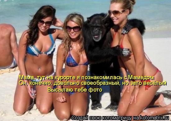 Котоматрица: Мама, тут на курорте я познакомилась с Мамедом  Он, конечно, довольно своеобразный, но зато весёлый Высылаю тебе фото