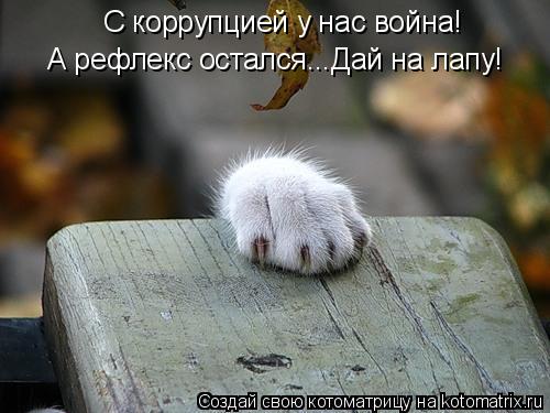 Котоматрица: С коррупцией у нас война! А рефлекс остался...Дай на лапу!