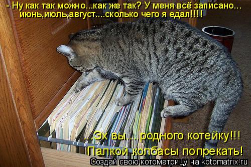 Котоматрица: - Ну как так можно...как же так? У меня всё записано... июнь,июль,август....сколько чего я едал!!!! ...Эх вы....родного котейку!!!  Палкой колбасы поп