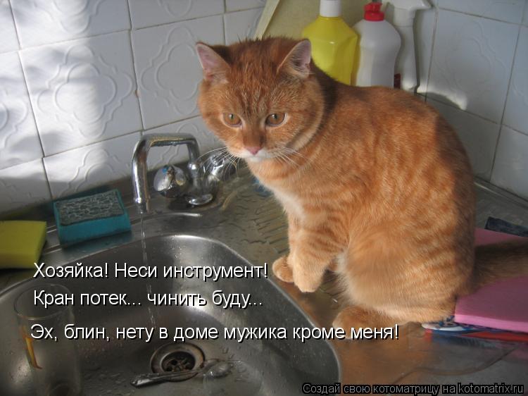 Котоматрица: Хозяйка! Неси инструмент! Кран потек... чинить буду... Эх, блин, нету в доме мужика кроме меня!