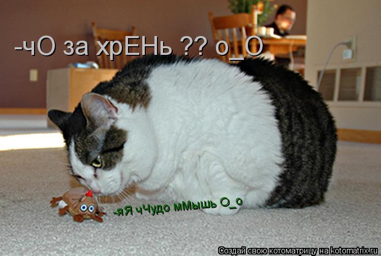 Котоматрица: -чО за хрЕНь ?? о_О -яЯ чЧудо мМышь О_о