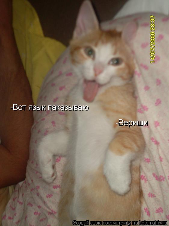 Котоматрица: -Вот язык паказываю  -Вериши