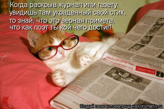 Котоматрица: Когда раскрыв журнал или газету, увидишь там украденный свой стих, то знай, что это верная примета, что как поэт ты кой чего достиг!