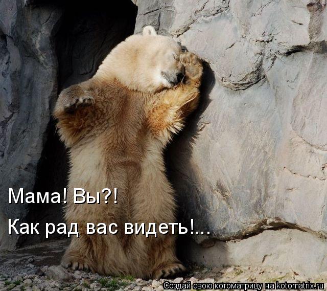 Котоматрица: Мама! Вы?! Как рад вас видеть!...