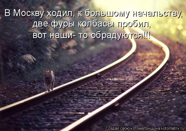 Котоматрица: В Москву ходил, к большому начальству, две фуры колбасы пробил, вот наши- то обрадуются!!!