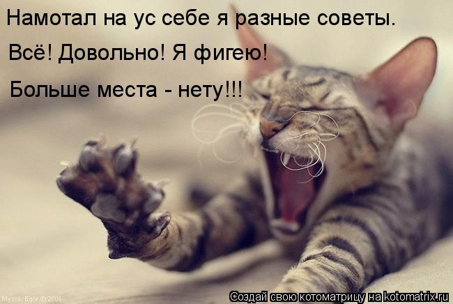 Котоматрица: Намотал на ус себе я разные советы. Всё! Довольно! Я фигею!  Больше места - нету!!!
