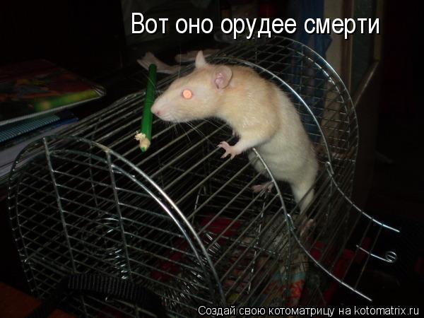 Котоматрица: Вот оно орудее смерти