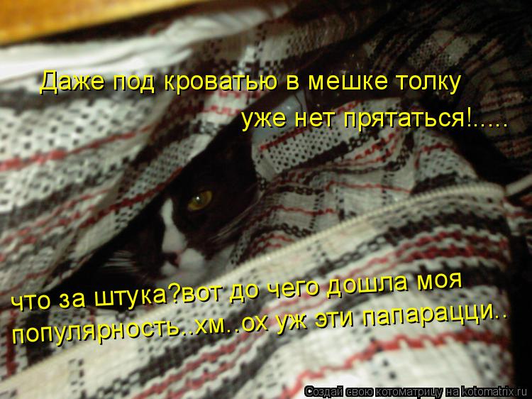 Котоматрица: Даже под кроватью в мешке толку уже нет прятаться!..... что за штука?вот до чего дошла моя популярность..хм..ох уж эти папарацци..
