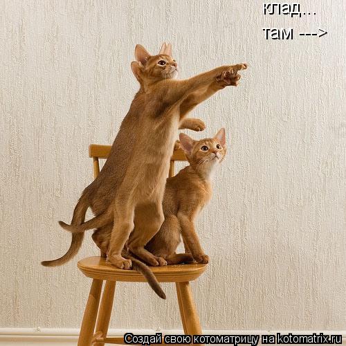 Котоматрица: клад... там ---,Ю там --->