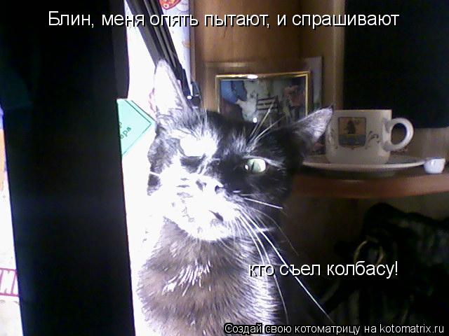 Блин, меня опять пытают, и спрашивают кто съел колбасу!... Котоматрица: Блин, меня опять пытают, и спрашивают кто съел колбасу!