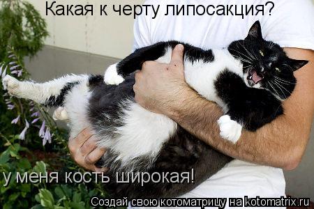 Какая к черту липосакция? у меня кость широкая!... Котоматрица: Какая к черту липосакция? у меня кость широкая!