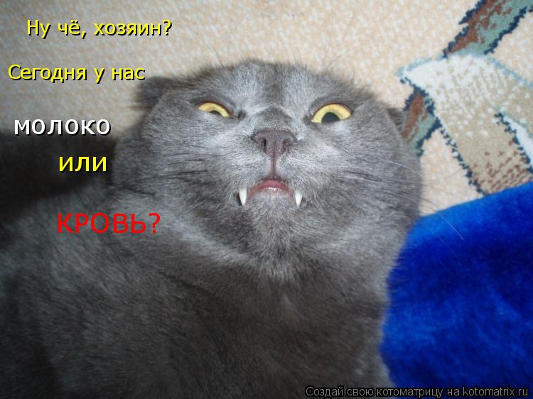 Котоматрица: Ну чё, хозяин? Сегодня у нас молоко или КРОВЬ?