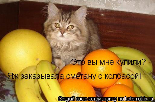 Котоматрица: Это вы мне купили?  Яж заказывала сметану с колбасой!