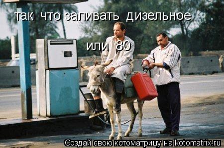 Котоматрица: так  что заливать  дизельное  или  80
