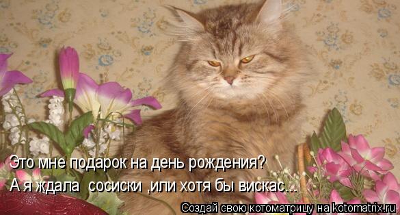 Котоматрица: Это мне подарок на день рождения? А я ждала  сосиски ,или хотя бы вискас...