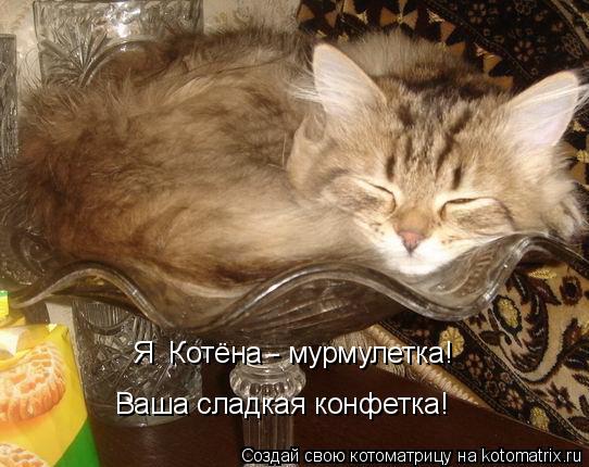 Котоматрица: Я  Котёна - мурмулетка! Ваша сладкая конфетка!