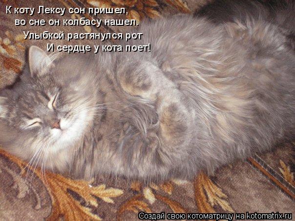 Котоматрица: К коту Лексу сон пришел, К коту Лексу сон пришел, во сне он колбасу нашел. Улыбкой растянулся рот И сердце у кота поет!