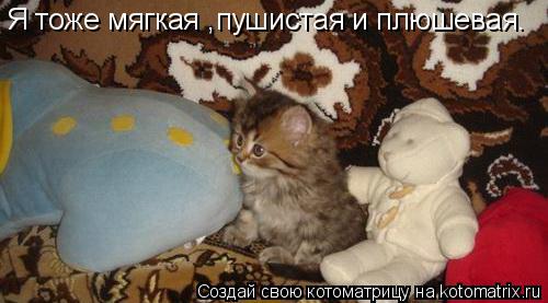 Котоматрица: Я тоже мягкая ,пушистая и плюшевая.