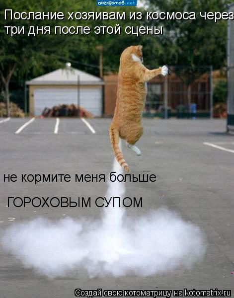 Котоматрица: Послание хозяивам из космоса через три дня после этой сцены Послание хозяивам из космоса через три дня после этой сцены три дня после этой 
