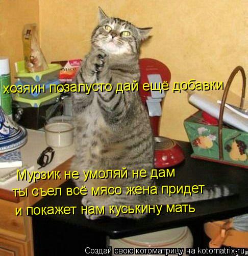 хозяин позалусто дай ещё добавки Мурзик не умоляй не дам ты съел всё мясо жена придет и покажет нам... Котоматрица: хозяин позалусто дай ещё добавки Мурзик не умоляй не дам ты съел всё мясо жена придет и покажет нам куськину мать