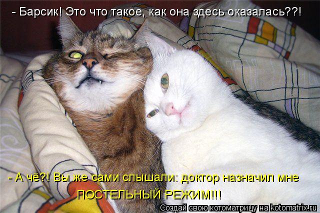 - А чё?! Вы же сами слышали: доктор назначил мне ПОСТЕЛЬНЫЙ РЕЖИМ!!! - Барсик! Это что такое, как она... Котоматрица: - А чё?! Вы же сами слышали: доктор назначил мне ПОСТЕЛЬНЫЙ РЕЖИМ!!! - Барсик! Это что такое, как она здесь оказалась??!