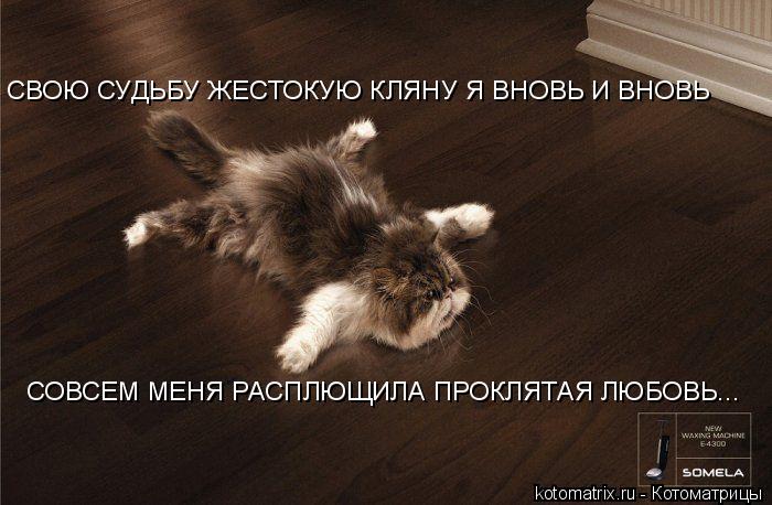 СВОЮ СУДЬБУ ЖЕСТОКУЮ КЛЯНУ Я ВНОВЬ И ВНОВЬ СОВСЕМ МЕНЯ РАСПЛЮЩИЛА ПРОКЛЯТАЯ ЛЮБОВЬ...... Котоматрица: СВОЮ СУДЬБУ ЖЕСТОКУЮ КЛЯНУ Я ВНОВЬ И ВНОВЬ СОВСЕМ МЕНЯ РАСПЛЮЩИЛА ПРОКЛЯТАЯ ЛЮБОВЬ...