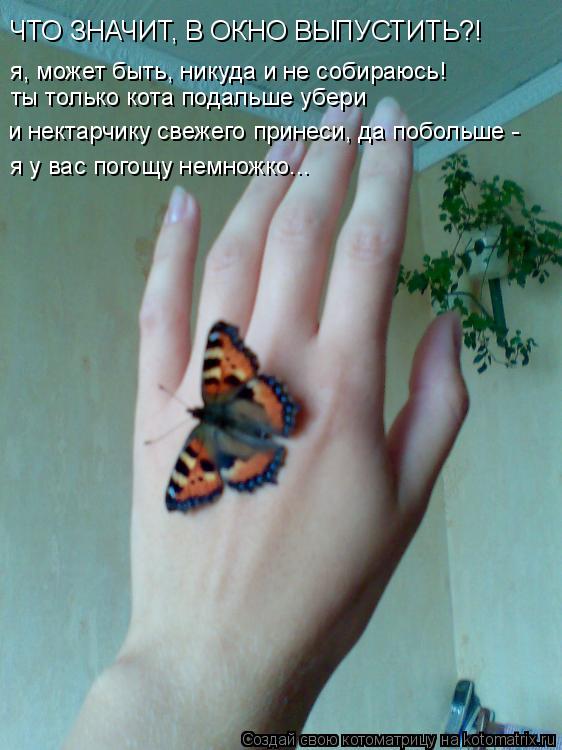 ты только кота подальше убери и нектарчику свежего принеси, да побольше - я у вас погощу немножко...... Котоматрица: ты только кота подальше убери и нектарчику свежего принеси, да побольше - я у вас погощу немножко... я, может быть, никуда и не собираюсь! ЧТО