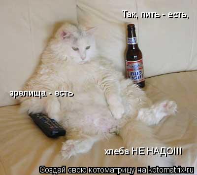 Котоматрица: зрелища - есть хлеба НЕ НАДО!!! Так, пить - есть,
