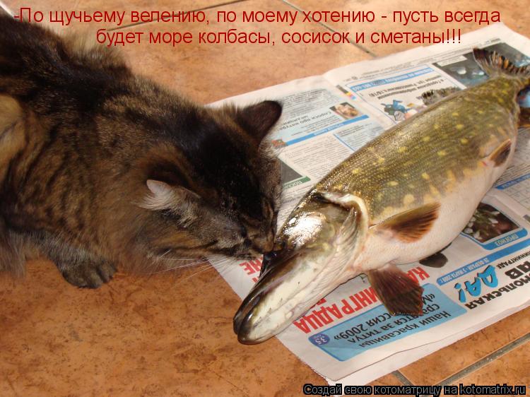Котоматрица: -По щучьему велению, по моему хотению - пусть всегда будет море колбасы, сосисок и сметаны!!!