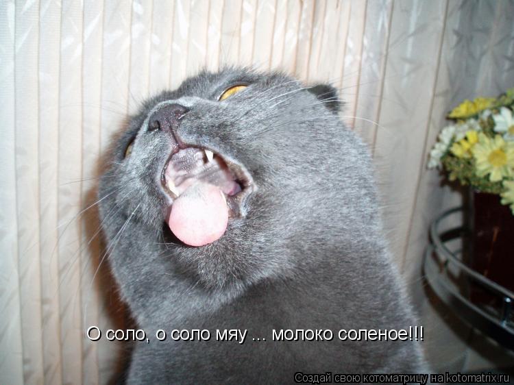 Котоматрица: О соло, о соло мяу ... молоко соленое!!!