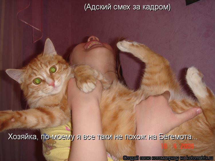 Котоматрица: (Адский смех за кадром) Хозяйка, по-моему я все таки не похож на Бегемота...