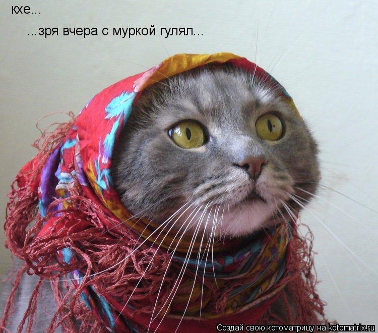 Котоматрица: кхе... ...зря вчера с муркой гулял...