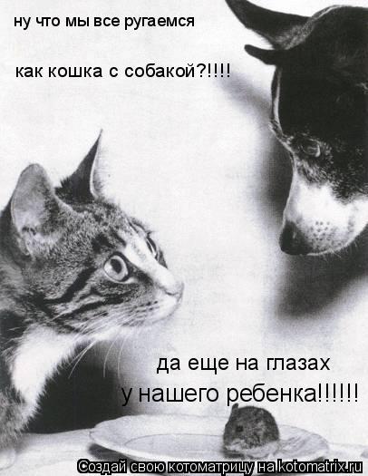 Котоматрица: ну что мы все ругаемся  как кошка с собакой?!!!! да еще на глазах у нашего ребенка!!!!!!