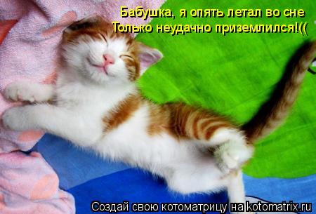 Бабушка, я опять летал во сне Только неудачно приземлился!((... Котоматрица: Бабушка, я опять летал во сне Только неудачно приземлился!((