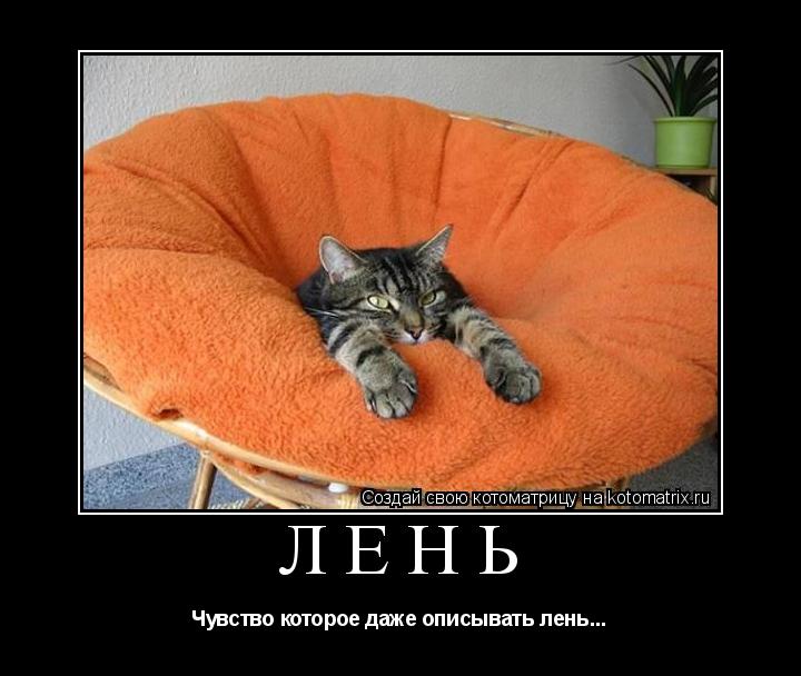 Котоматрица: Лень Чувство которое даже описывать лень...