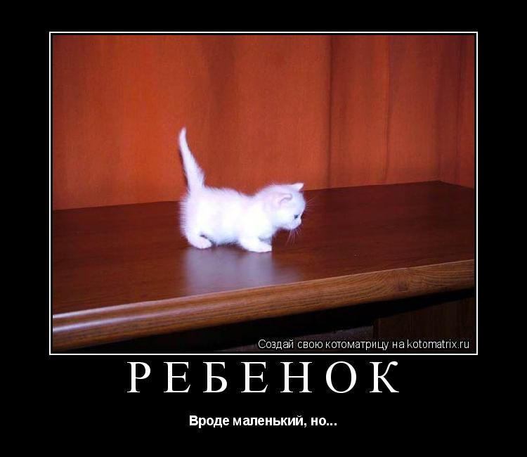 Котоматрица: Ребенок Вроде маленький, но...