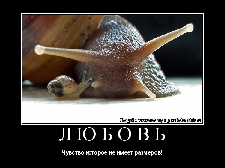 Котоматрица: Любовь Чувство которое не имеет размеров!