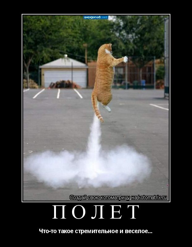 Полет Что-то такое стремительное и веселое...... Котоматрица: Полет Что-то такое стремительное и веселое...