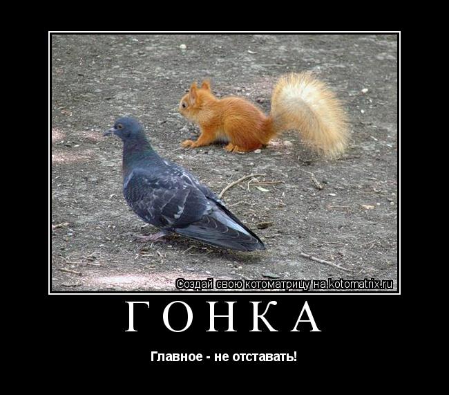Котоматрица: Гонка Главное - не отставать!
