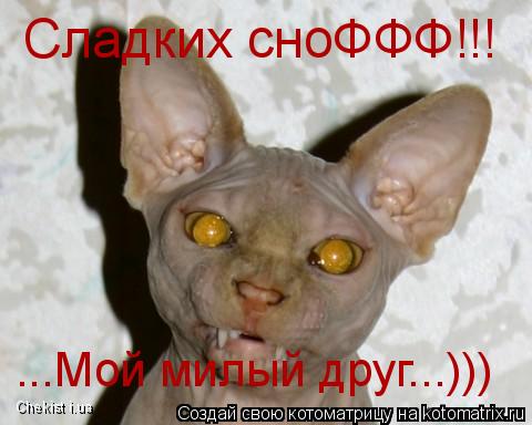 Котоматрица: ...Мой милый друг...))) Сладких сноФФФ!!! Chekist i.ua