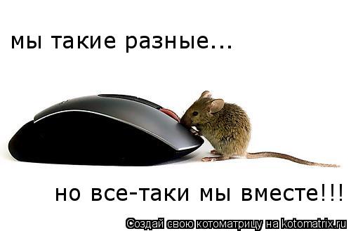 Котоматрица: но все-таки мы вместе!!! мы такие разные...