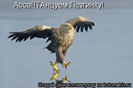 Котоматрица: Асса!!ТАнцуем Лезгинку!...