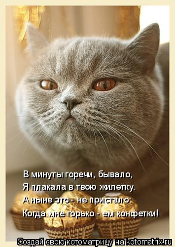 В минуты горечи, бывало, Я плакала в твою жилетку. А ныне это - не пристало: Когда мне горько - ем ко... Котоматрица: В минуты горечи, бывало, Я плакала в твою жилетку. А ныне это - не пристало: Когда мне горько - ем конфетки!