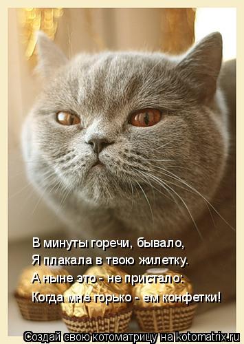 Котоматрица: В минуты горечи, бывало, Я плакала в твою жилетку. А ныне это - не пристало: Когда мне горько - ем конфетки!