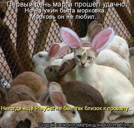 Котоматрица: Первый день марта прошёл удачно. Но на ужин была морковка. Морковь он не любил... Никогда ещё PlayCat не был так близок к провалу...