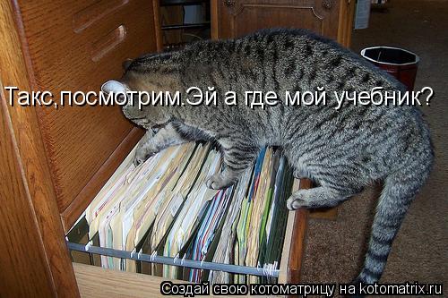 Котоматрица: -Такс,посмотрим.Эй а где мой учебник? Такс,посмотрим.Эй а где мой учебник?