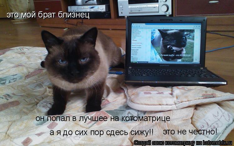 это мой брат близнец он попал в лучшее на котоматрице а я до сих пор сдесь сижу!! это не честно!... Котоматрица: это мой брат близнец он попал в лучшее на котоматрице а я до сих пор сдесь сижу!! это не честно!