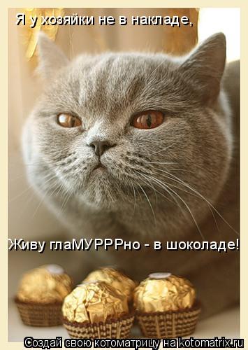 Я у хозяйки не в накладе, Живу глаМУРРРно - в шоколаде!... Котоматрица: Я у хозяйки не в накладе, Живу глаМУРРРно - в шоколаде!